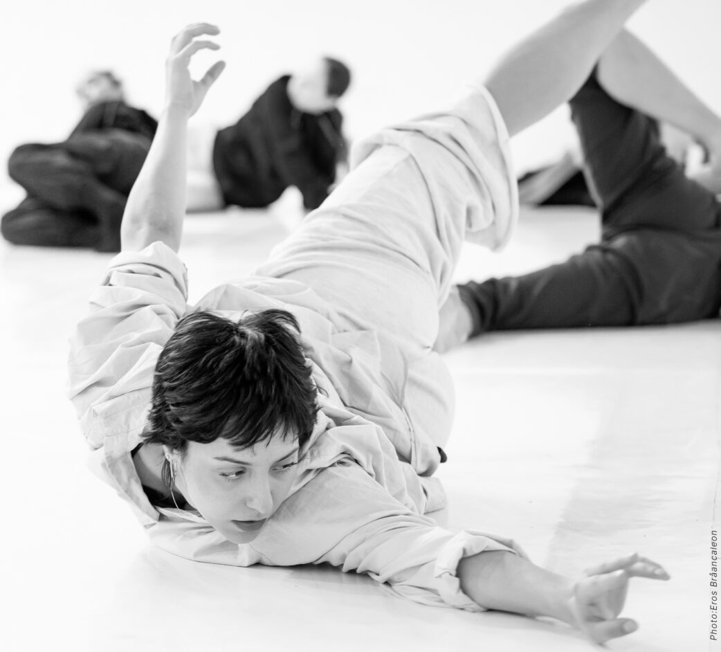 BCurious – Summer Dance Workshops  Ensembles Of Curious Natur und Zappalà Danza