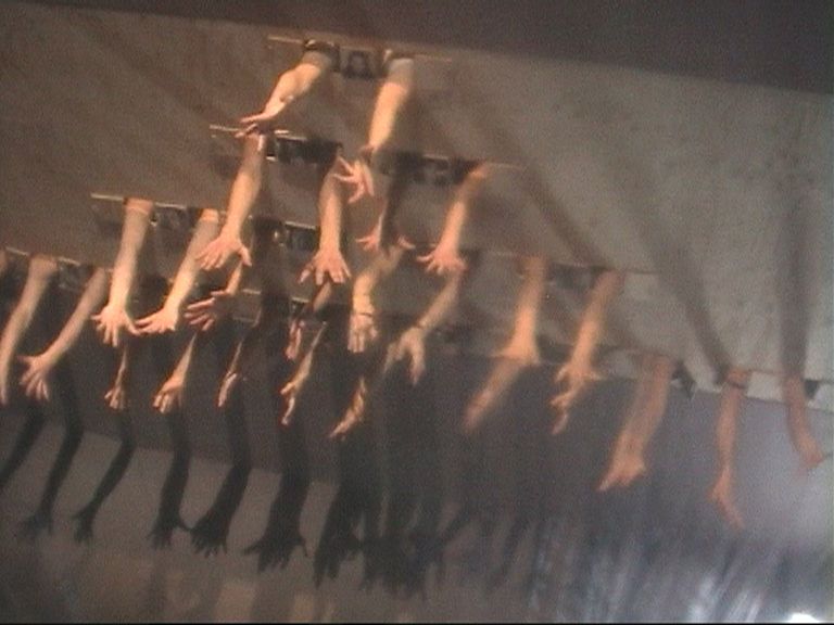 5. Tele-Tanzjournal